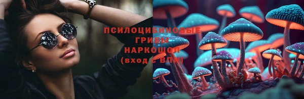 spice Горняк