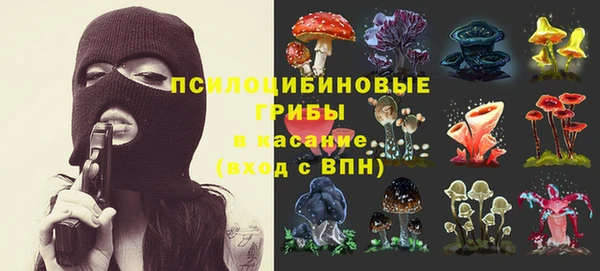 прущая мука Горно-Алтайск