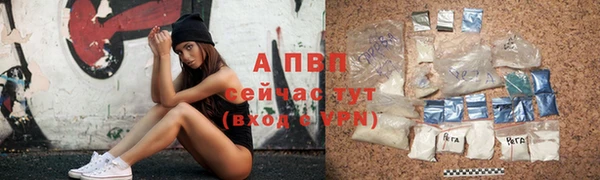 spice Горняк
