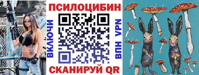 наркошоп  KRAKEN зеркало  Псилоцибиновые грибы Psilocybine cubensis  Домодедово 